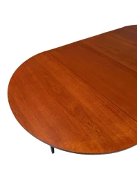 Art Deco Modernist Round Extendable Dining Room Table by Hendrik Wouda, 1931